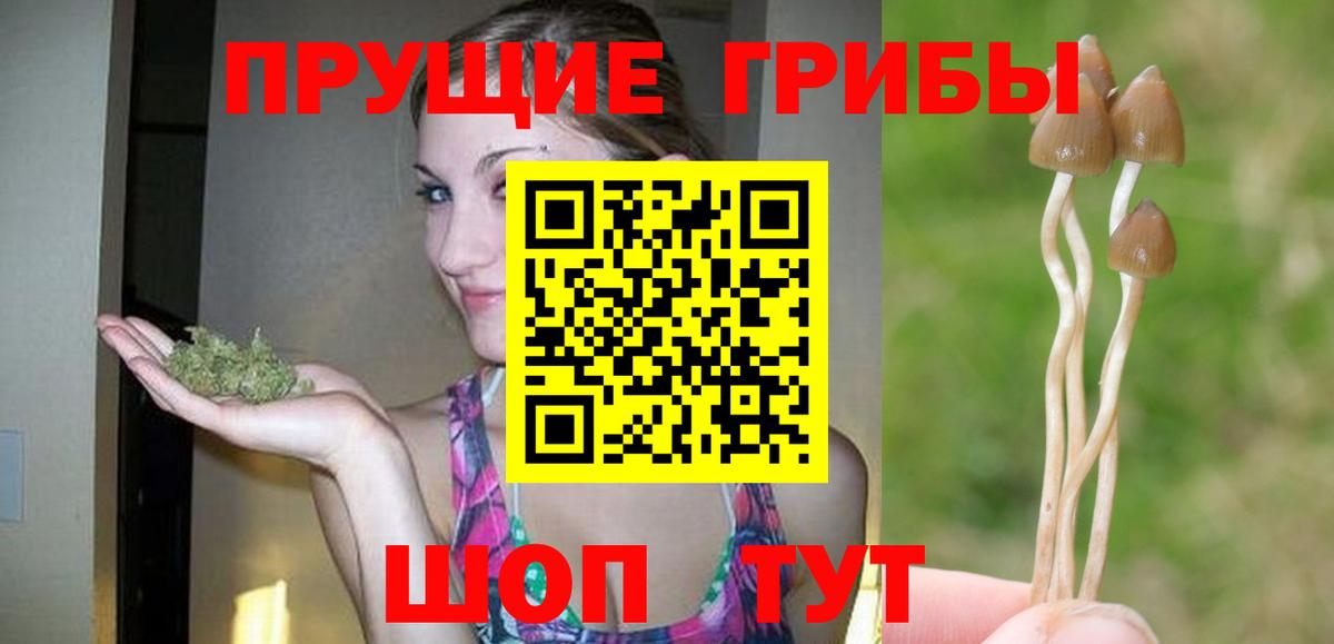 Псилоцибиновые грибы мицелий Вятские Поляны
